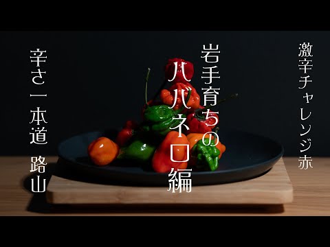 KAKUYA