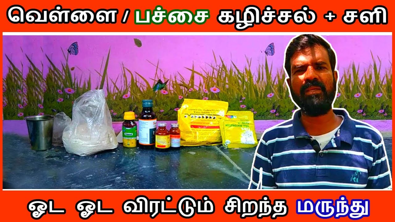 வெள்ளை / பச்சை கழிச்சல் + சளி | ஓட ஓட விரட்டும் மருந்து 27.10.2021 | TAMIL | GUNA NATTUKOZHI PANNAI