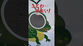 【長野県・御代田町】龍に堕ちる