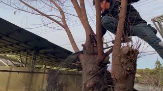 マキタ　ハンディチェンソー