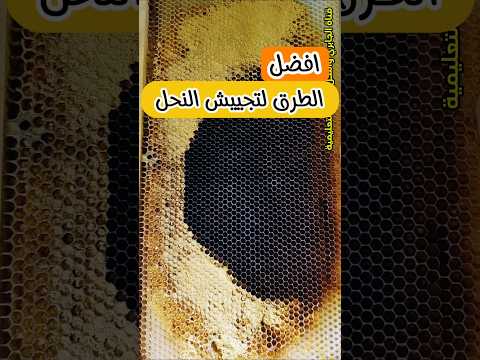 تجييش النحل باسهل طريقة حبوب اللقاح
