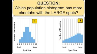 VIDEO GUIDE: Chapter 2 - Histogram Analysis 2