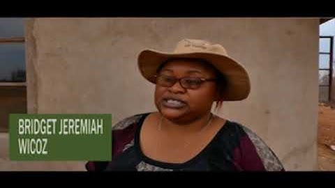 Women tackling Climate change through Analogue Forestry