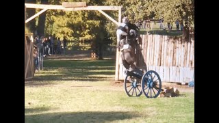 CCI ***** Pau 2019 Horse trials  Best falls and refusals  cross country day