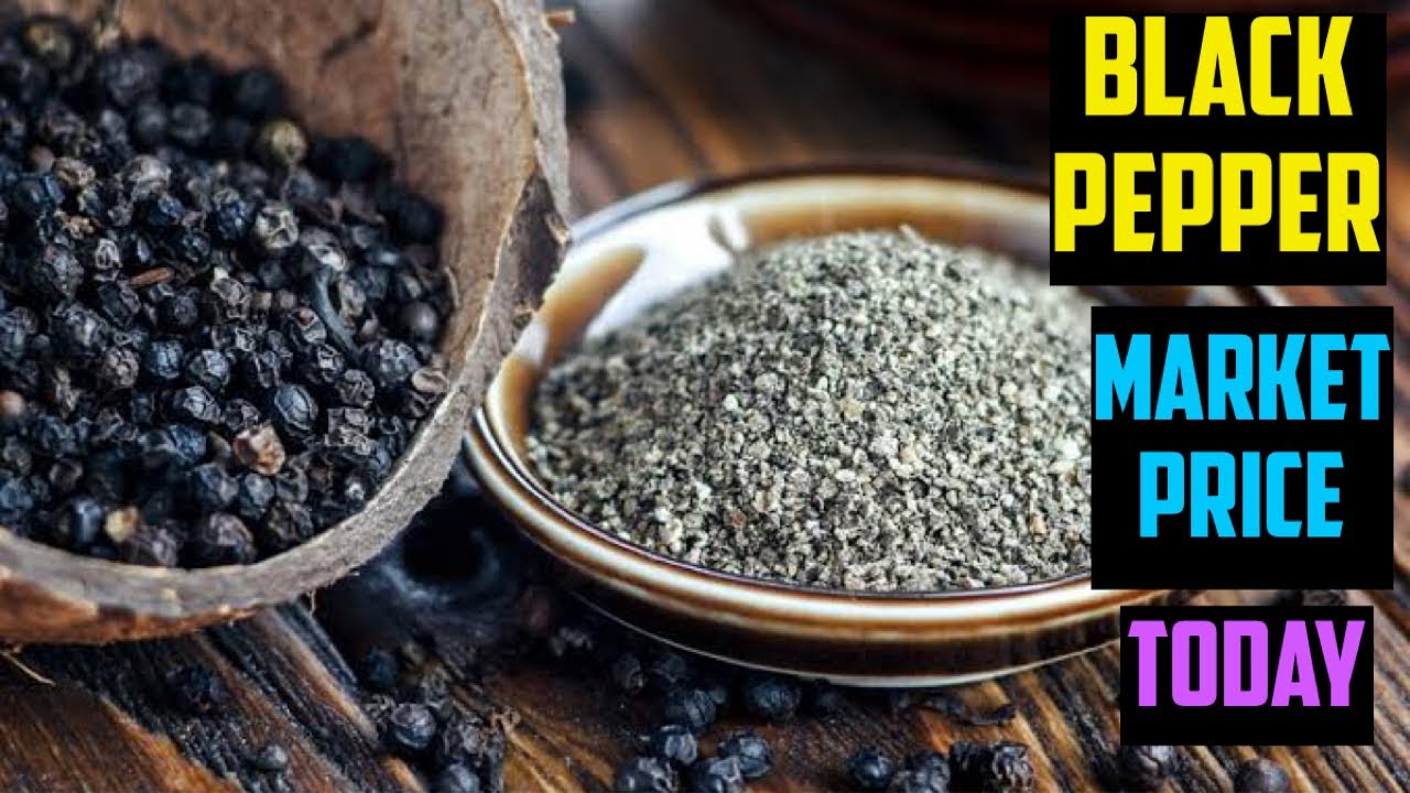 BLACK PEPPER INDIAN SPOT MARKET RATE TODAY 29 December 2022 YouTube