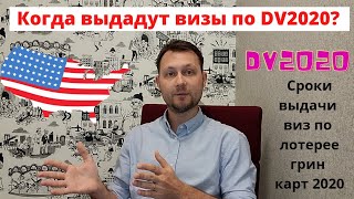 DV2020: когда выдадут визы победителям лотереи грин карт 2020 года? Новое решение судьи Амита Мехты