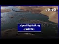 واد الساقية الحمراء بمدينة العيون وجهة فريدة للطيور المهاجرة والمحبين للطبيعة 