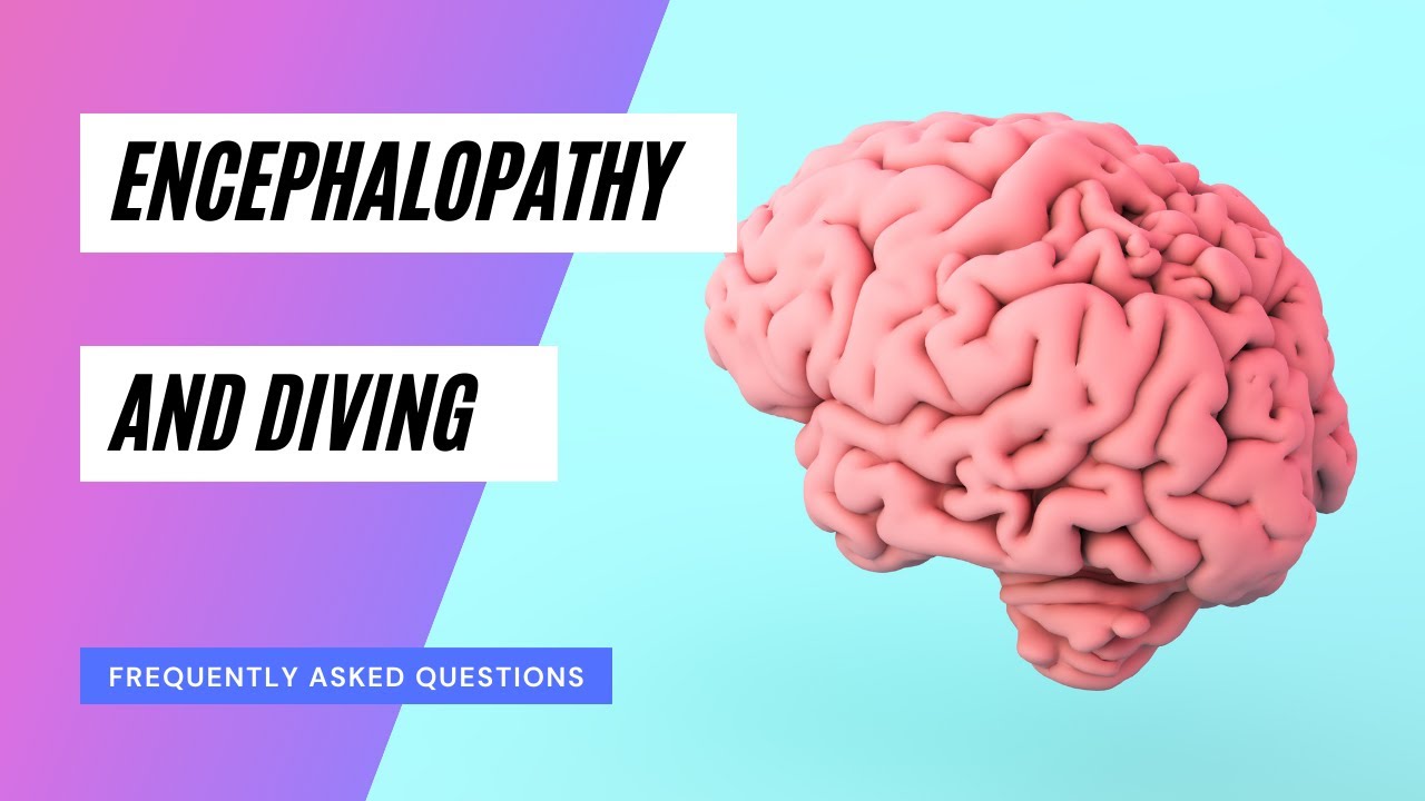 FAQ Encephalopathy & Diving - YouTube