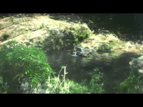 いいね！ソフトバンク CM 白戸家「岡山」2篇