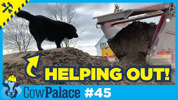 Excavators, Dumpers & GRAVEL! It