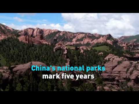 China's national parks mark five years