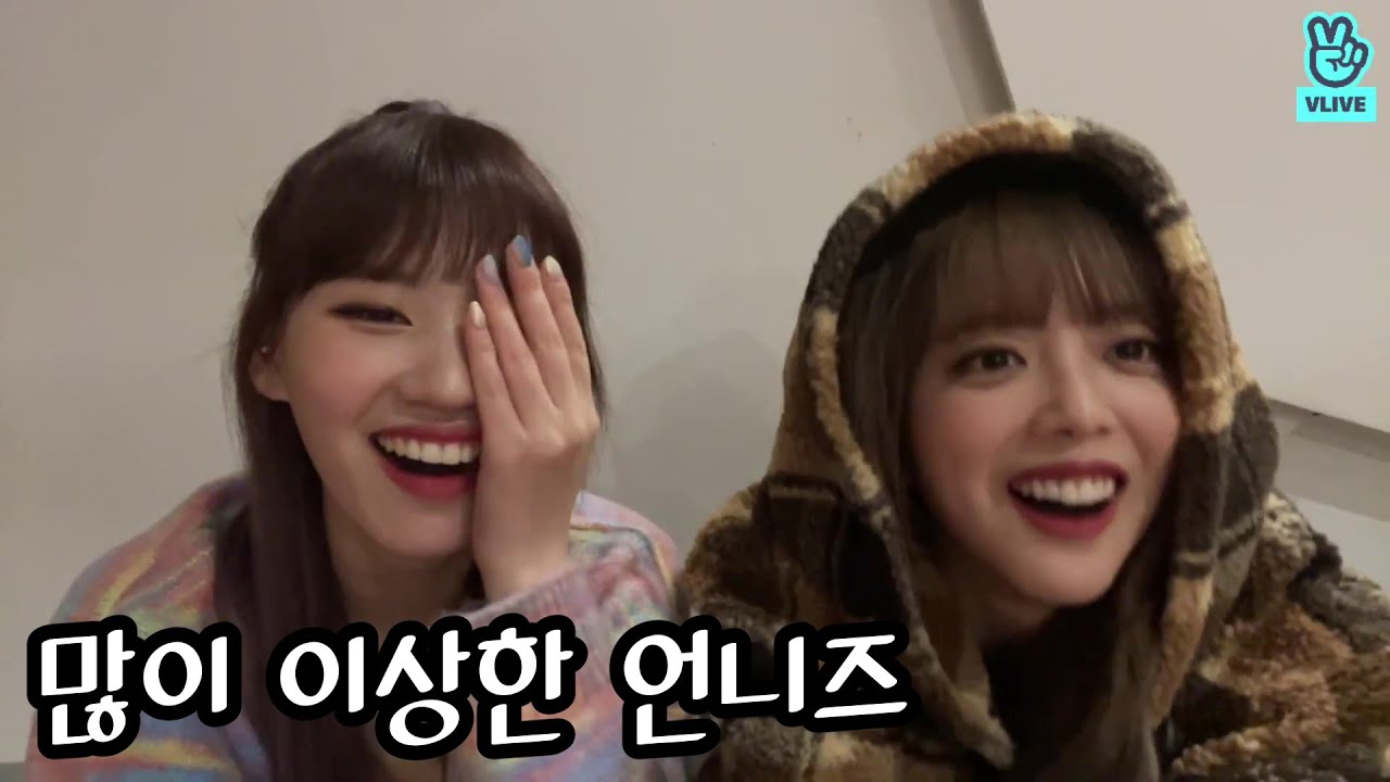 [위키미키 지수연X엘리] 많이이상한지수연과정엘리