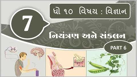 Std 10 Gujarat Board GSEB | Science | Lesson 7 | Part 6 | ધોરણ-૧૦ વિજ્ઞાન | નિયંત્રણ અને સંકલન ભાગ 6