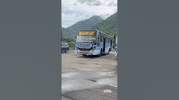 padavedu to arani new tnstc blue tnstc bus