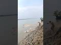 Amazing casnet fishing #viralvideo #shortvideo