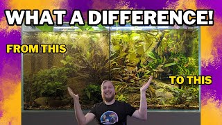 Cleaning the Fluval FX2 after 3 months. The importance of a clean filter! by Fish Shop Matt 47,236 views 3 months ago 13 minutes, 43 seconds