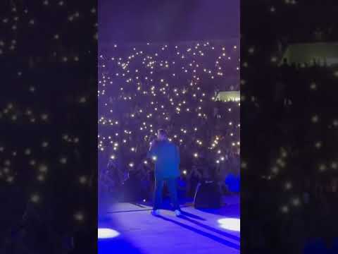    الشامي 