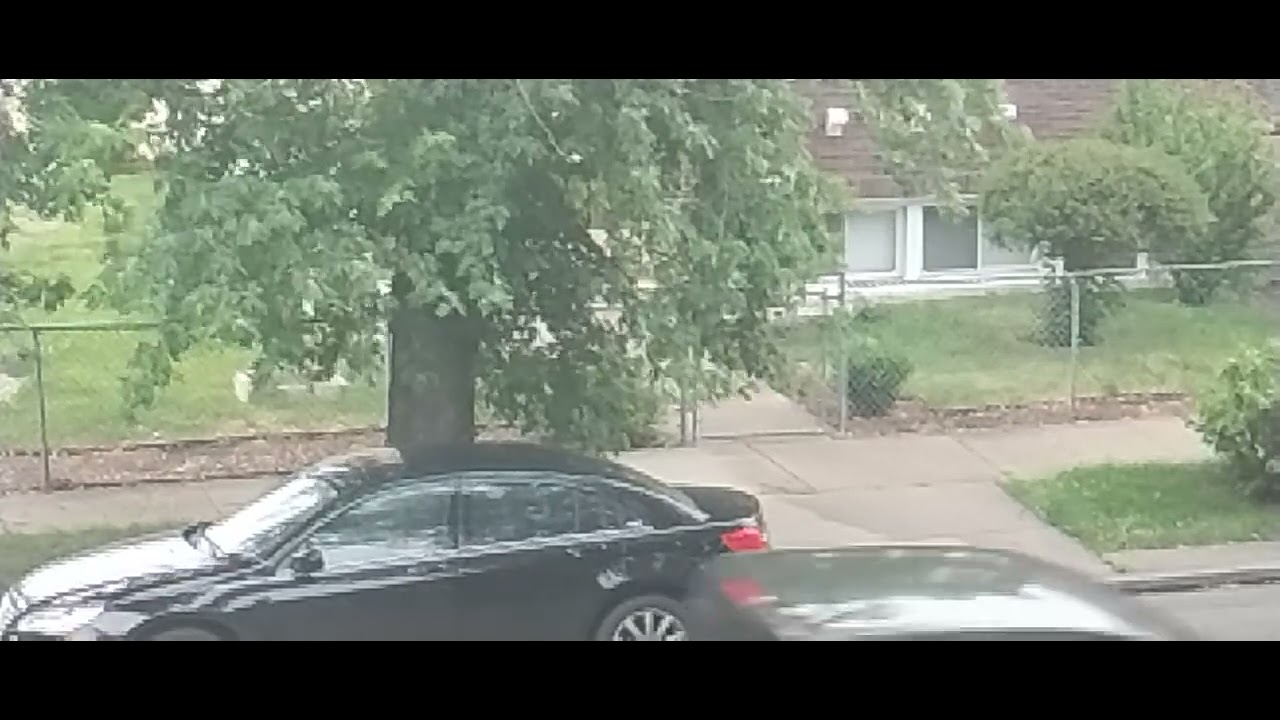 31:01/ little baby ride along - YouTube