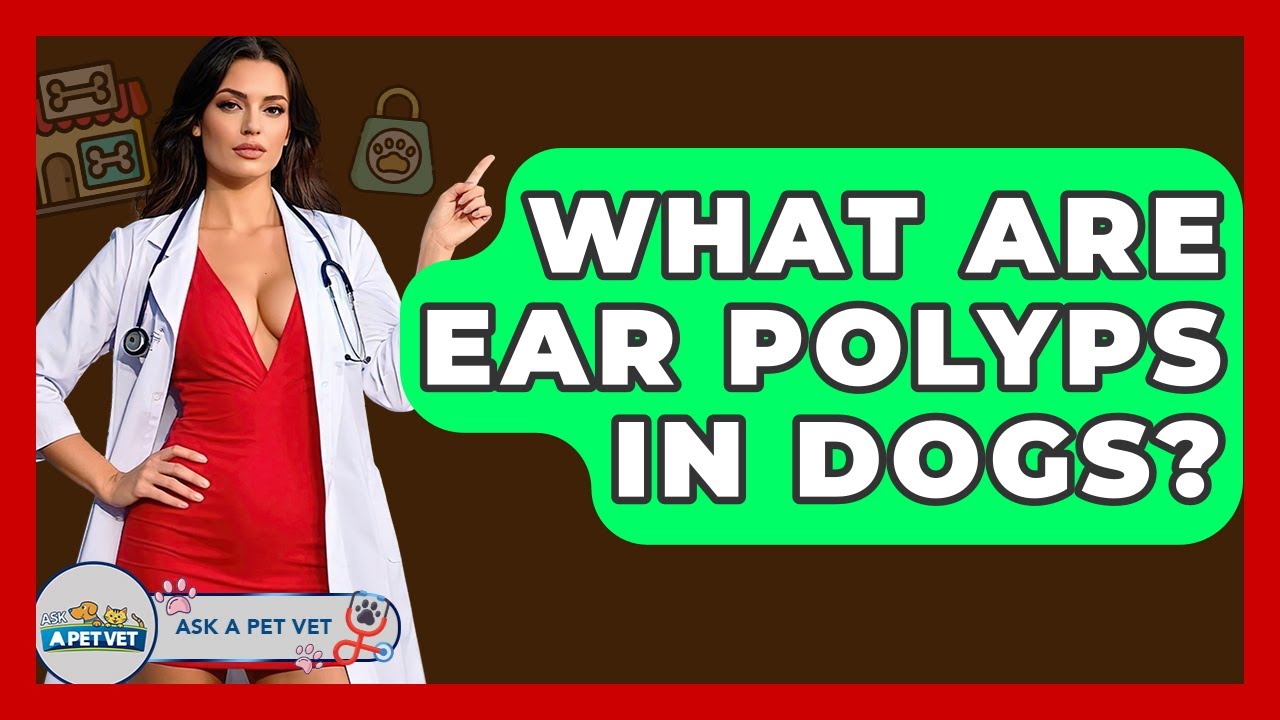 What Are Ear Polyps In Dogs? - Ask A Pet Vet - YouTube