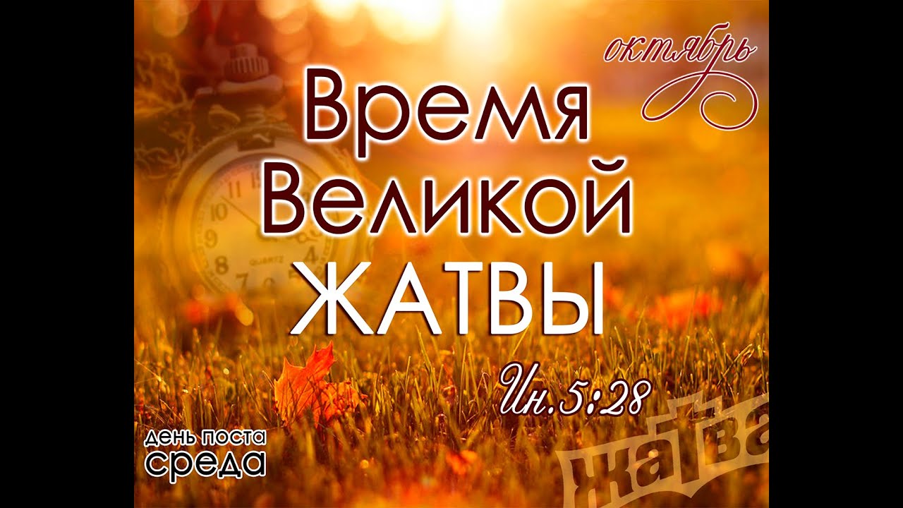 День, жатва картинки библейские