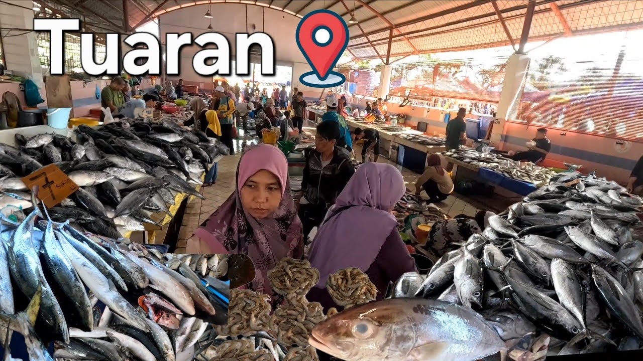KOTA KINABALU PASAR IKAN TUARAN FullTour🐟Meriahnya gais✨️Dibuka setiap hari🐙🦑