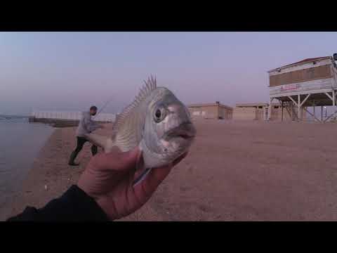 דייג  בז'ירז'ור 2021 נעילה של מפלץ על אולטרלייט ביס בסיליקון וכמובן דייג עם נחומי המלך ultralight