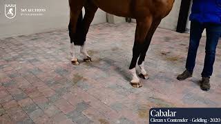 Cabalar