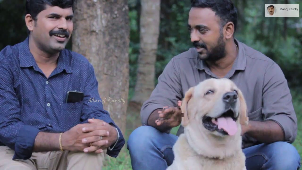 നായവളർത്തൽ രംഗത്തേക്ക് ഇറങ്ങുകയാണോ? I dog farming kerala I naya