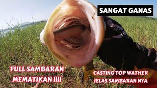 CASTING HAMPALA DI WADUK RIAM KANAN 016 #mancing #fishing #castinghampala