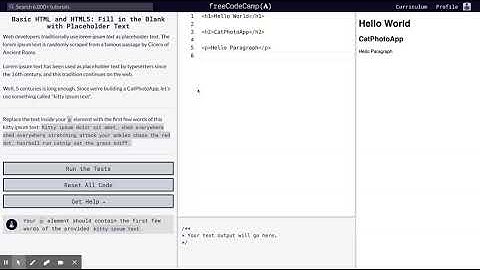 Learn Basic HTML and HTML5: Fill in the Blank with Placeholder Text | freeCodeCamp.org 05