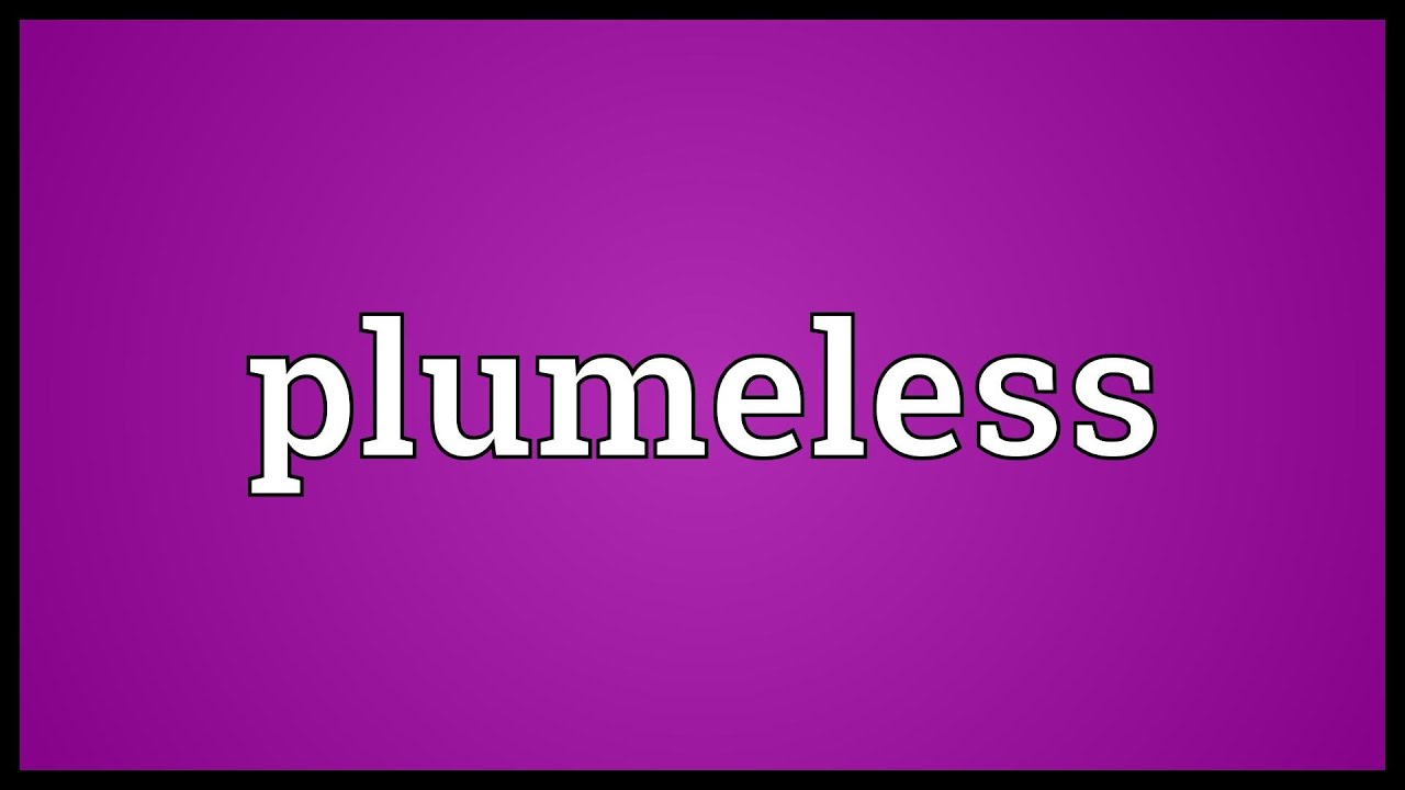 Plumeless Meaning