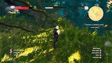 The Witcher 3: Wild Hunt - Kernun the Leshen fight (Death March)