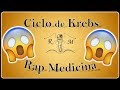 Ciclo de Krebs 🟢 Rap Educativo 🟢 El R4