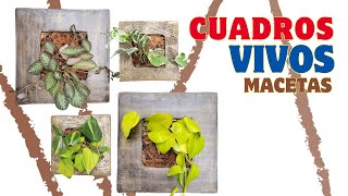 Macetas enmarcadas para plantas// Cu4dros V1vos