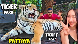 Bangkok to Pattaya Tiger Park | Transport, Ticket Prices & Tips @RahiRoaming#TigerParkPattaya