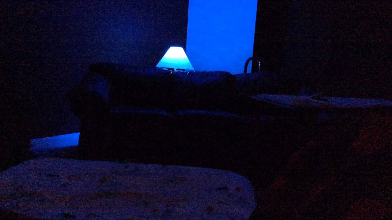 Shark Tank Light Bulbs Shelly Lighting