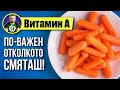 Витамин А - Всичко, което трябва да знаеш! (#1 Витамини и Минерали)