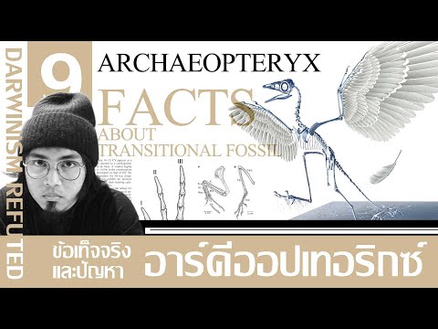 ข้อเท็จจริงและปัญหาของอาร์คีออปเทอริกซ์ : Archaeopteryx │Darwinism Refuted 09.