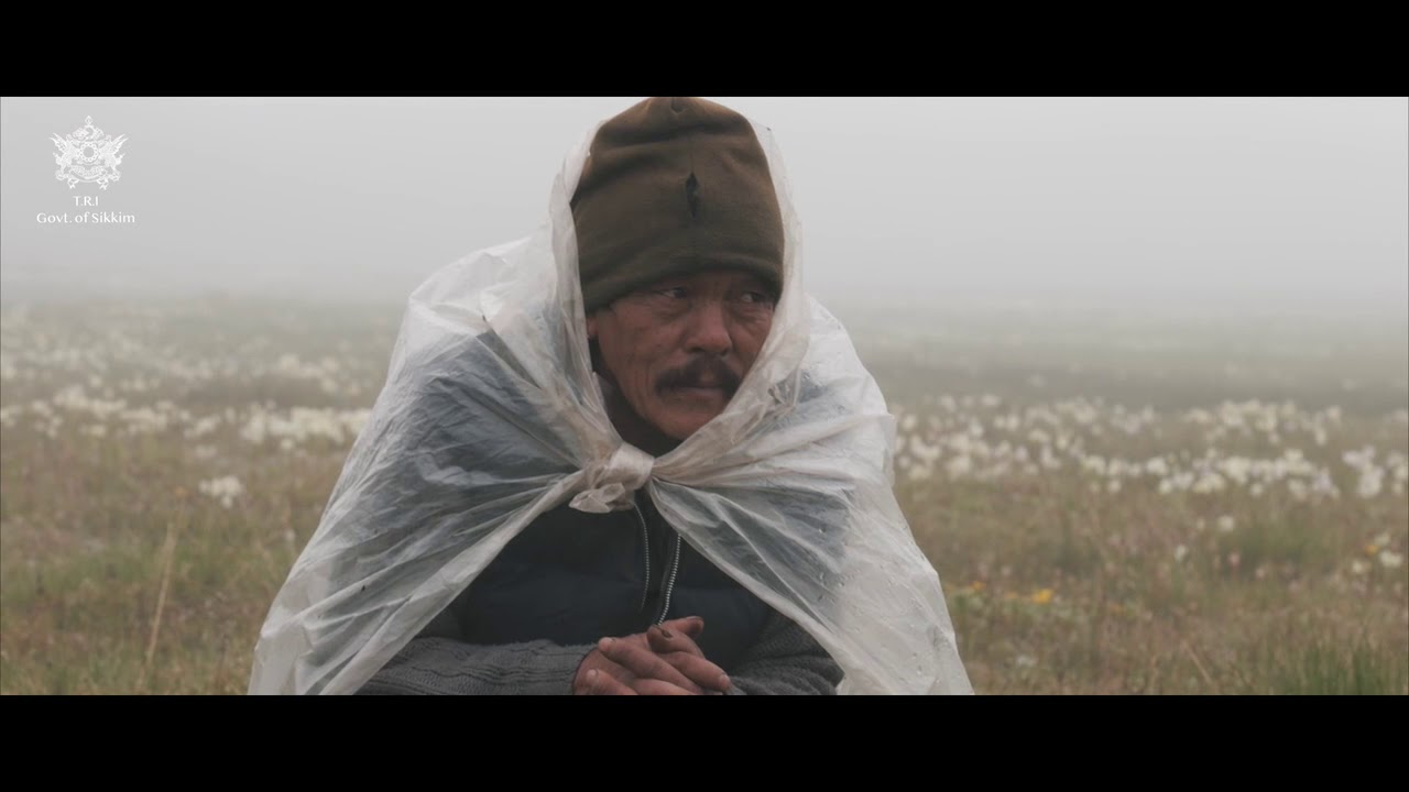 Documentary on Upper Dzongu