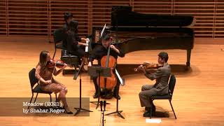 Meadow - Piano Quartet by Shahar Regev