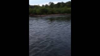 Jackson Lake Dam fishing
