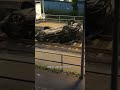Stuttgart-Ost: Auto überschlägt sich und landet auf Stadtbahngleisen – zwei Verletzte
