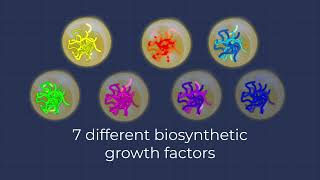 KeraFactor – Hair Growth Factors Explainer