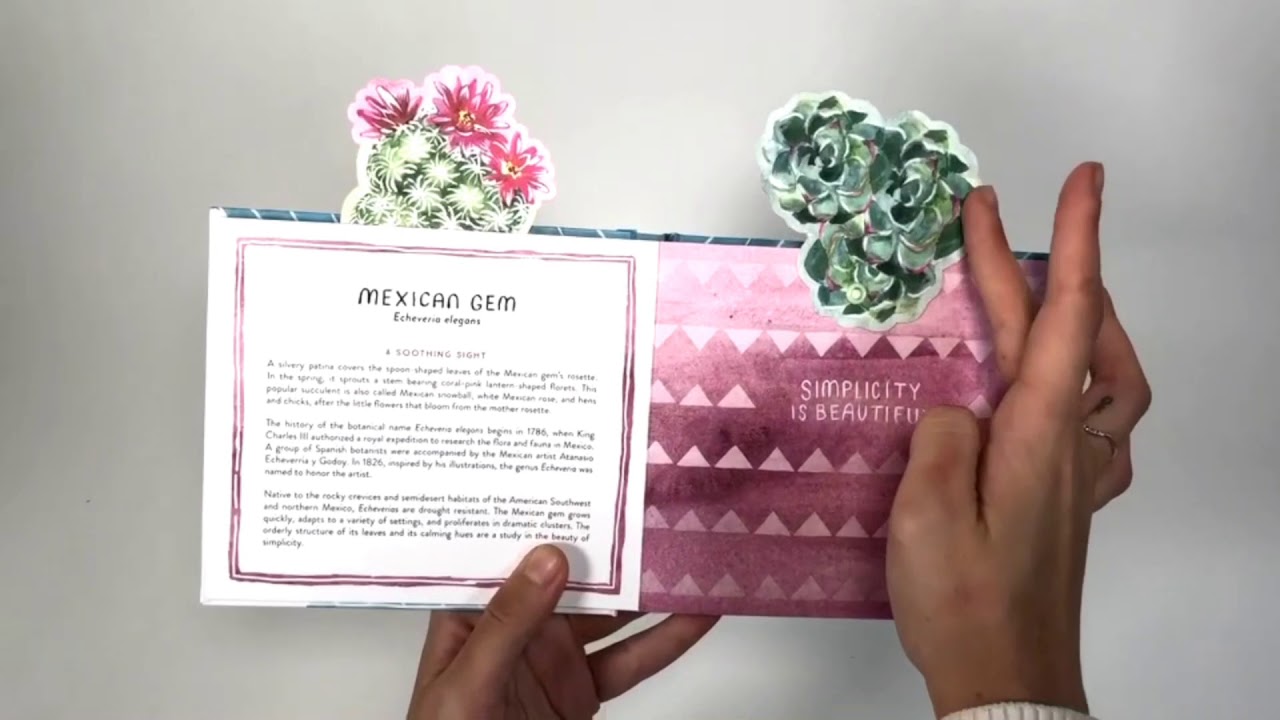 SUCCULENTS IN A BOOK (UPLIFTING EDITIONS) By Molly Hatch 