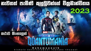 Ant Man and the WASP - Quantumania  Sinhala review | Ant man 3 Sinhala explain | Antman 3 full movie