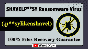 || SOLVED ✅🔘|| SHAVELP**SY (.p**sylikeashavel@cyberfear.com) ransomware virus