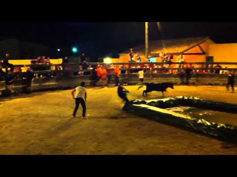 Bull VS Jesse & Stephan