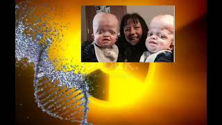 Mitosis and Meiosis | Science Project