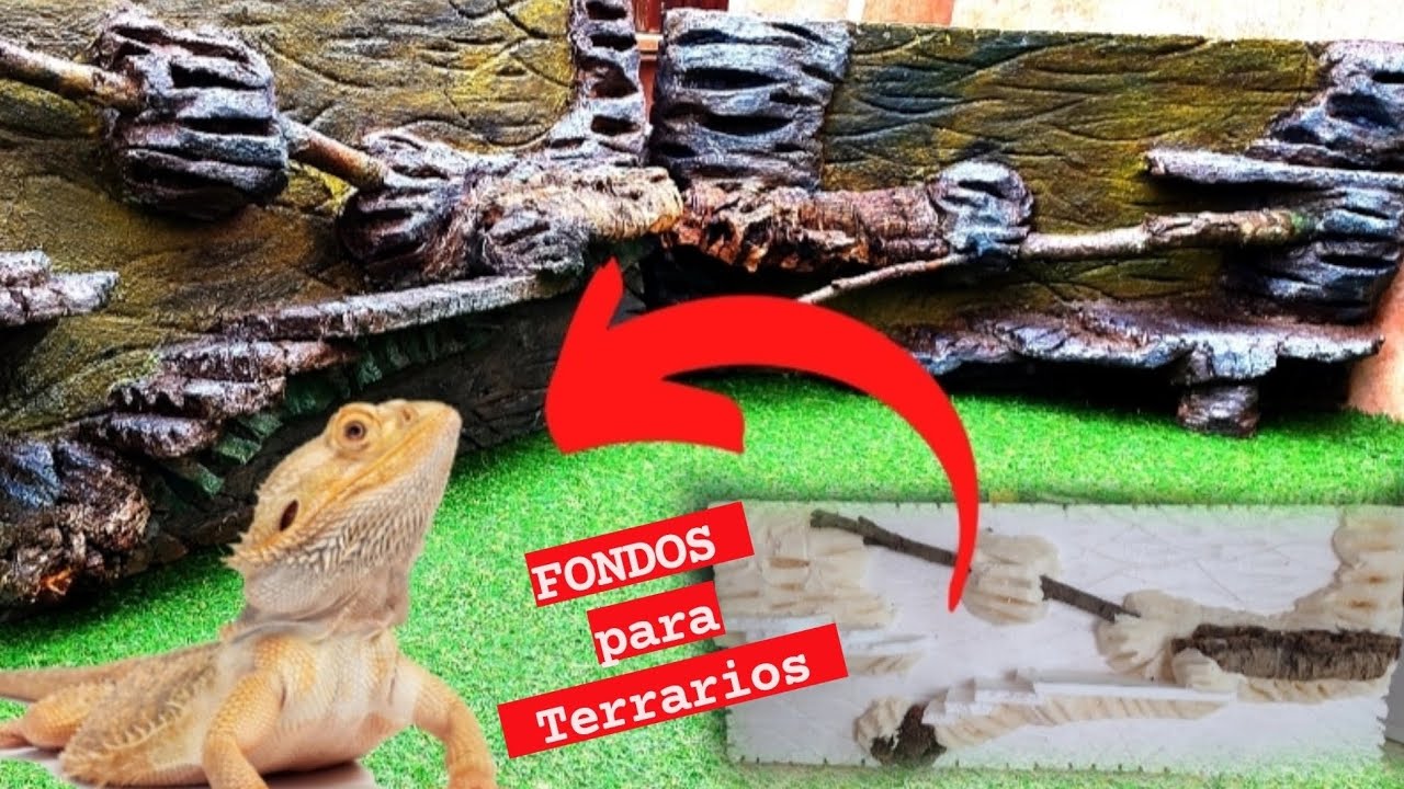 Fondos para TERRARIOS POGONAS!