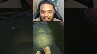 পুরো এলাকা পানিতে ডুবে গেছে | Part 4 | DrainSim Bangla Gameplay | OONETA #gamingshorts